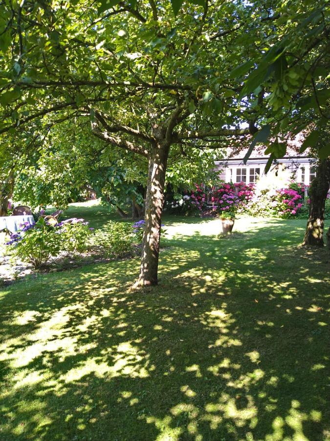 Ouddorp Vakantiehuisje Eksteriør billede