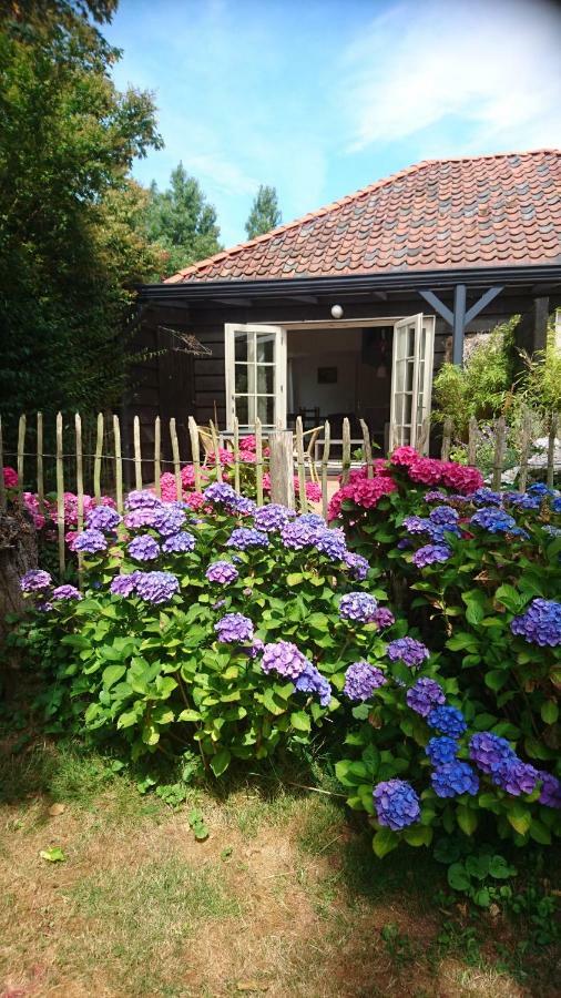 Ouddorp Vakantiehuisje Eksteriør billede